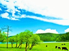 三亿体育生物电传感器